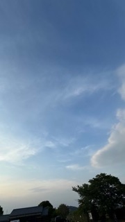 「ケチ」