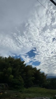 気に入っている言葉シリーズ（その２）