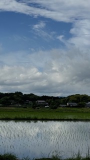 もう一つのニーズがあるからと言って最初のニーズは帳消しにならない。（「ノー」を愛するプロジェクト・その４）