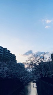 嘆きの定義